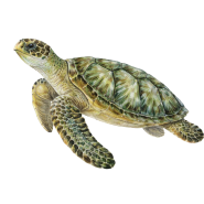 a2f0cfe9b8eb99730f9739dd39a59309b6da86d1